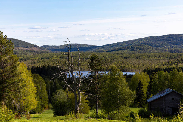 Kalvtrask, Σουηδία Ένα ορεινό τοπίο με λίμνη και δάση - Φωτογραφία, εικόνα