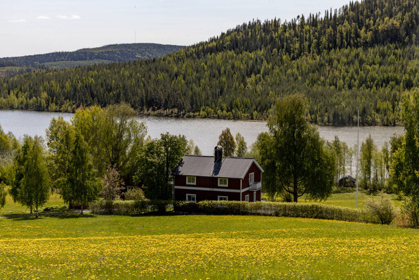 Norsjo, Schweden Ein malerischer Blick auf einen See, eine Scheune, einen Berg und ein Feld mit gelben Löwenzahn im Sommer. - Foto, Bild