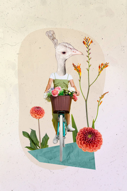 Creative surreal weird template collage of person traveler with bird face ride bicycle have lawn rural adventure. - Фото, изображение
