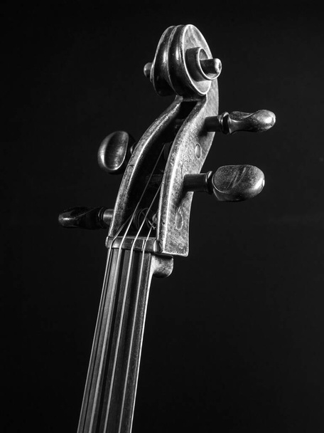 Black and white image of an old cello scroll or headstock. - Zdjęcie, obraz
