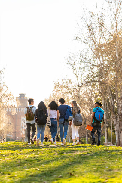 Ряд молодих багатоетнічних студентів, які ходять разом у парку. Вид ззаду
 - Фото, зображення