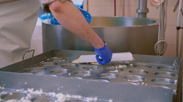 Käsemacher gießt Frischkäse in Formen, die Brie-Käse-Craft-Käse-Produktion machen - Filmmaterial, Video