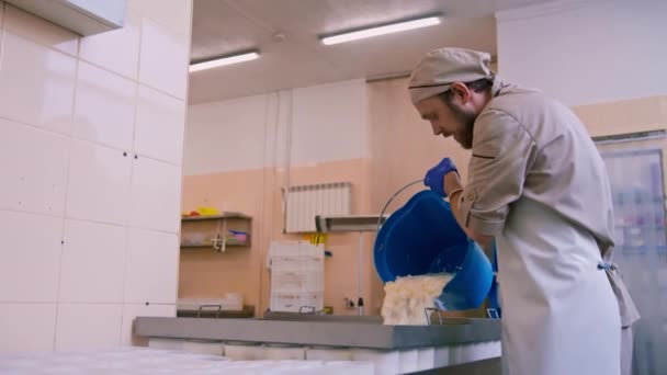 sýrař nalévá čerstvý sýr do forem na výrobu sýrových tvarů - Záběry, video