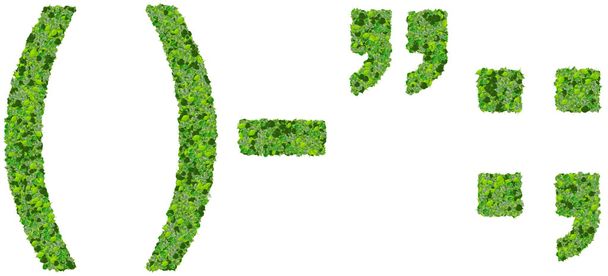 Партезы, кавычки, минус, точка с запятой, толстая кишка из зеленых листьев изолированы на белом фоне
. - Фото, изображение