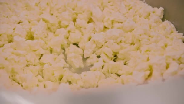 Moldes de enchimento para a produção de queijo mole Os espaços em branco de queijo são embebidos em salmoura - Filmagem, Vídeo