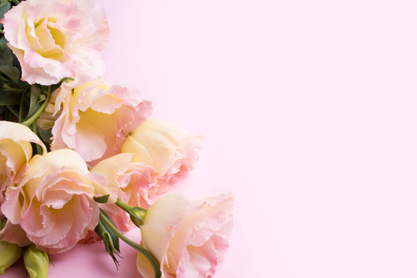 Rosafarbene Eustoma-Blüten auf rosa Hintergrund. Valentinstag und Hochzeitskonzept. Blick von oben - Foto, Bild