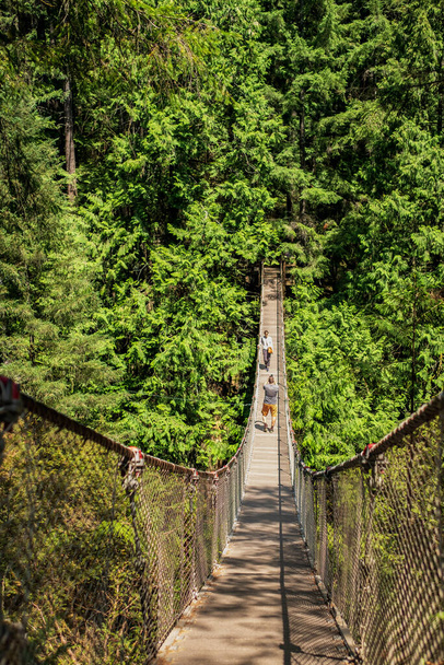 Turyści, turyści spacerujący po moście wiszącym w parku Lynn Canyon w Vancouver - znajduje się 50 metrów (160 stóp) wysokości od dna kanionu. Jest jednym z mostów wiszących z bezpłatnym wjazdem - Zdjęcie, obraz