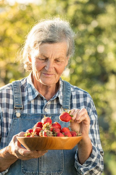 Šťastná starší běloška držící v zahradě dřevěnou mísu plnou čerstvě sklizených jahod. Starší dáma farmář nosí džínové kombinézy s kostkovanou košilí a sbírat bobule sklizeň - Fotografie, Obrázek