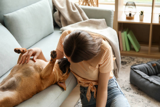 Young woman with cute French bulldog at home - Photo, Image