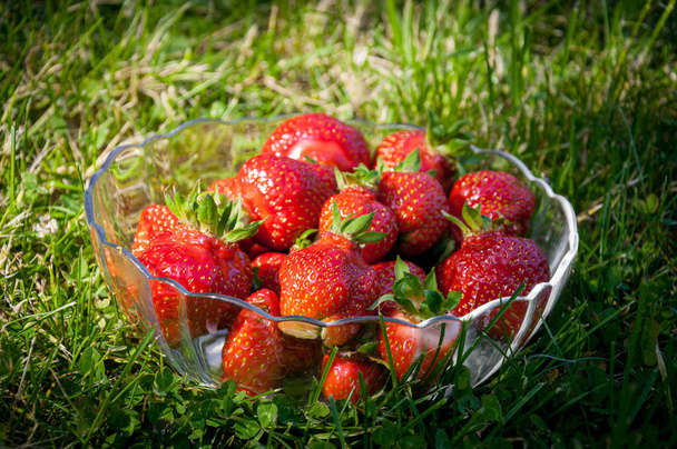 fresas frescas en un recipiente de vidrio que se extiende sobre la hierba. Primer plano.. - Foto, imagen