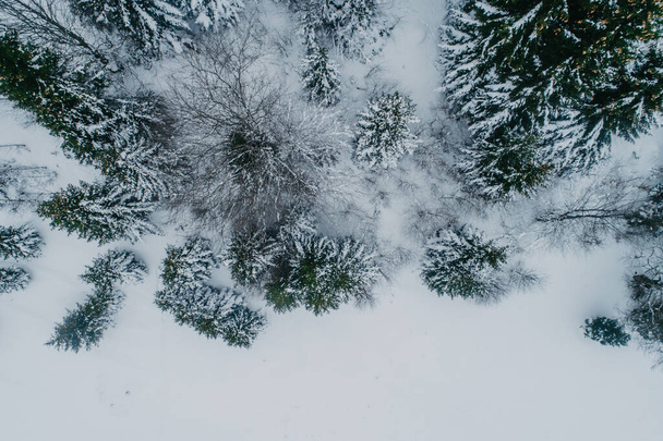 冬の寒さ。空気から自然の冬の風景。冬の間の道路や森の空中ビュー。森と雪. - 写真・画像