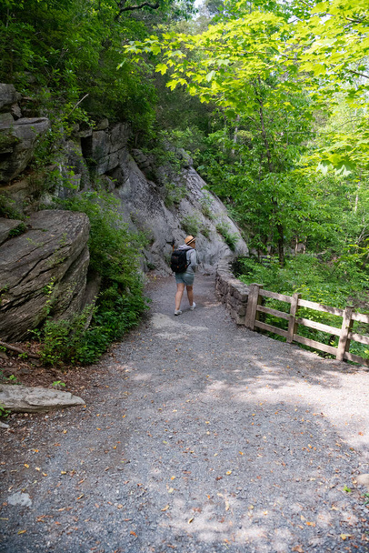 woman with a backpack walks along a path along green trees and rocks in the forests of america. back view - Fotografie, Obrázek