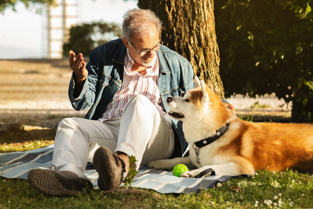 Glad caucasian senior man with beard and glasses plays ball with dog, enjoys picnic in park, retirement and active lifestyle, outdoor. Walk with pet, love and fun together with animal - Photo, Image