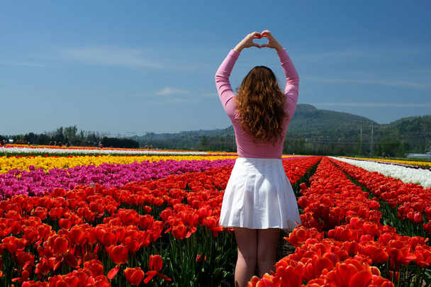girl in white skirt walks through a field tulips dance spinning run touch flowers with her hands straighten hair on blue background sky mountains - Photo, Image