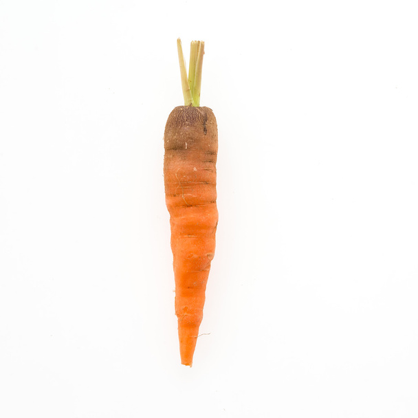orange Baby carrot - Photo, Image