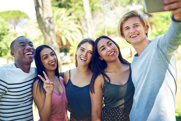 Friends, group selfie and park with smile, happiness or diversity for social media post, app or blog. Men, women and students with youth, photography or profile picture for solidarity, summer or walk. - Foto, Imagen