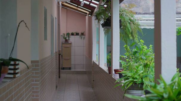 Casual South American Residence - Brazilian Home Exterior Backyard, Illustrating Domesticity Scene. Establishing tracking shot - Photo, Image