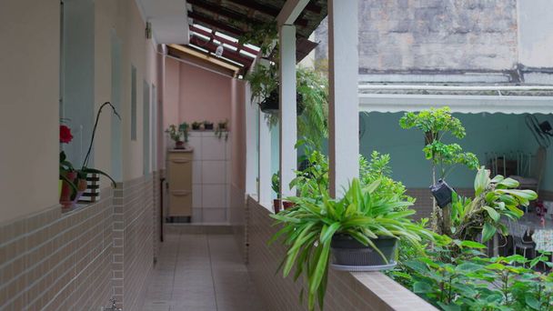 Casual South American Residence - Brazilian Home Exterior Backyard, Illustrating Domesticity Scene. Establishing tracking shot - Foto, Imagen