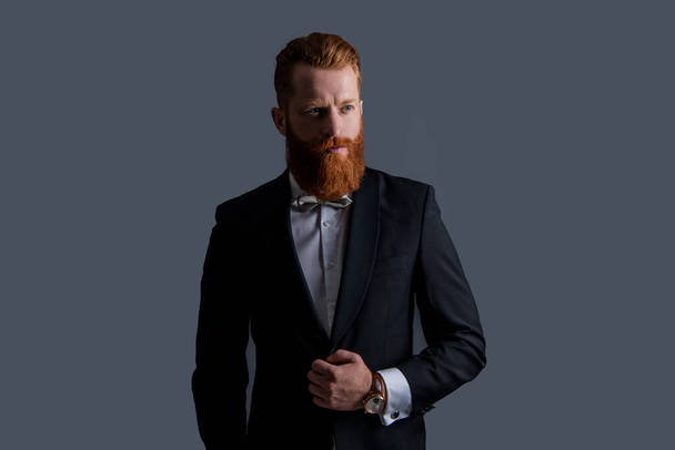 tux fashion. handsome bearded man in tux isolated on grey background. man studio shot in tux. man wearing elegant tux. - 写真・画像