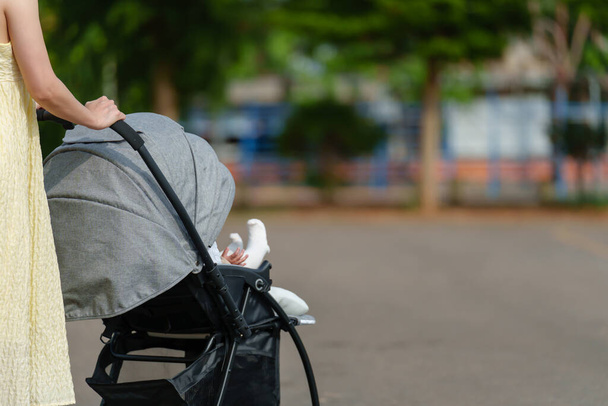 mother pushing infant baby stroller and walking in the park - Photo, Image