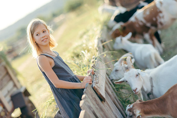 Suloinen tyttö leikkii vuohilla maatilalla. Lapsi tutustuu eläimiin. Maanviljely ja puutarhanhoito. Lasten kesäaktiviteetit ulkona - Valokuva, kuva