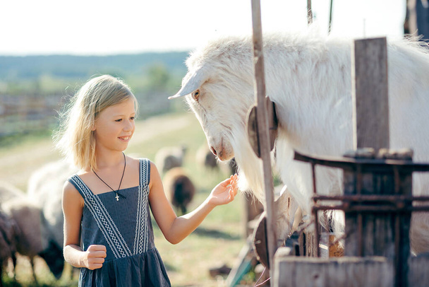cute kid feeding little goats and sheeps on farm. child petting animals in the zoo. Excited and happy kid on family weekend - Zdjęcie, obraz