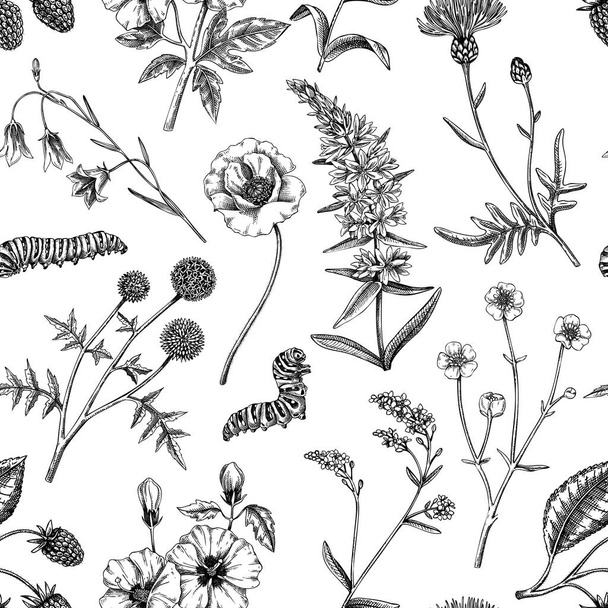 Hand-drawn summer background. Retro floral texture design. Sketched wildflowers seamless pattern. Vector illustration of field of flowers for wedding invitation, greeting cards, textile, packaging - Vektori, kuva