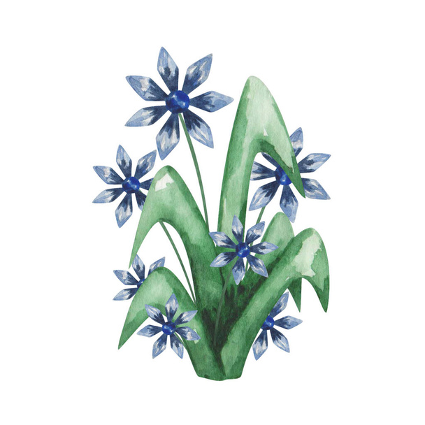 Akvarell illusztráció. Kézzel festett kék virágok zöld levelekkel. Csokor, fű, bokor. Vadvirágok a mezőkön, mezők. Kamilla, százszorszépek. Virágos elem. Elszigetelt clip art nyomtatáshoz, transzparensekhez - Fotó, kép