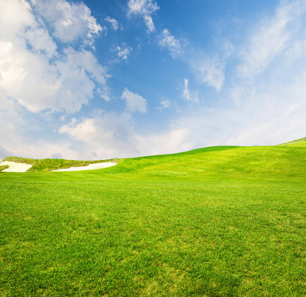 Un pintoresco paisaje de verano con un exuberante campo de hierba verde que se extiende bajo un cielo azul con nubes esponjosas - Foto, Imagen