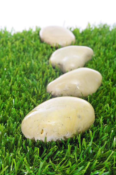 Stones on the grass - Zdjęcie, obraz