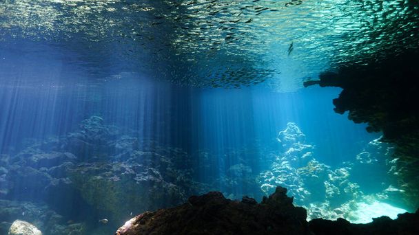 Художнє підводне фото магічного пейзажу в печері з променями сонячного світла
 - Фото, зображення