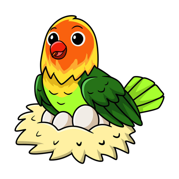Ilustración vectorial de dibujos animados lindo fischer love bird con huevos en el nido - Vector, imagen