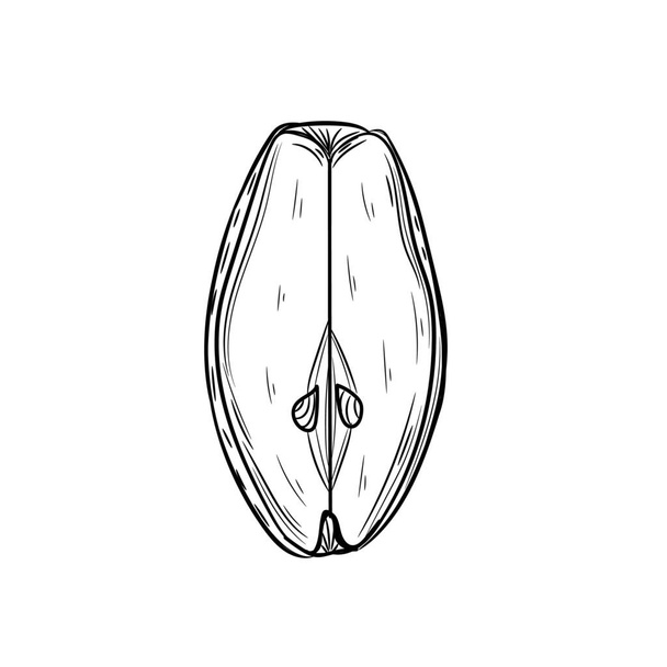 Pedaço de pêra madura sobre fundo branco - Vetor, Imagem