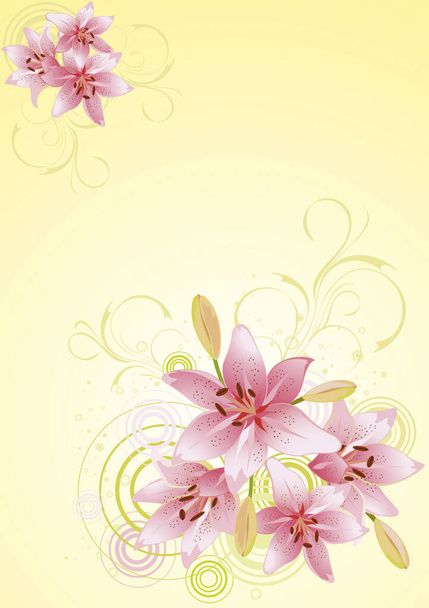 Lily pink, vector floral background - Vector, imagen