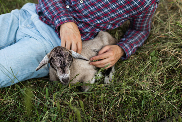 a happy man of Caucasian appearance, a farmer holds and hugs his favorite goat. a small goat. The concept of a summer countryside. Close to outdoor recreation. - Photo, Image