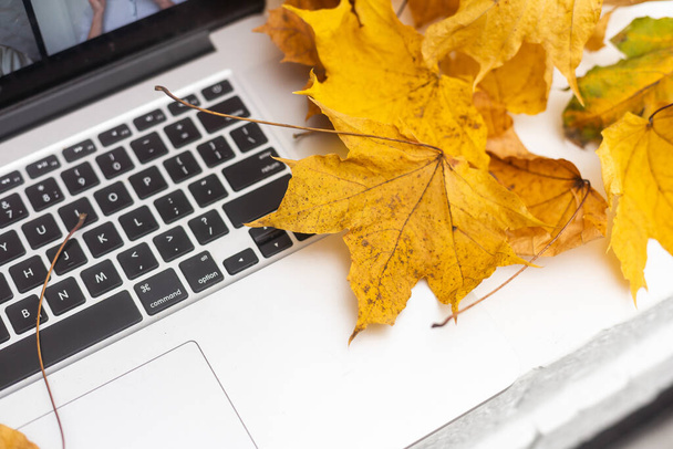 Top view of work space with open laptop and full of colorful Autumn maple leaves with Copy space. Cozy fall concept - Фото, изображение