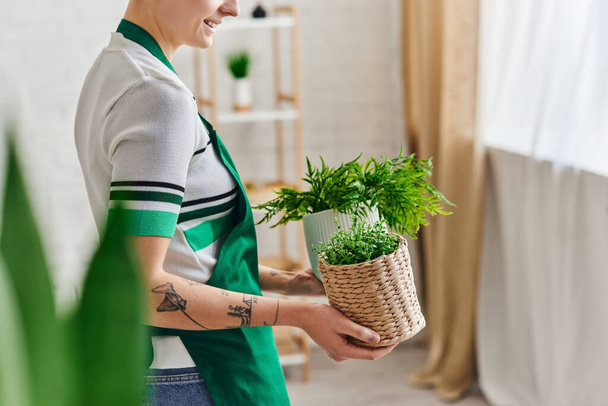 częściowy widok młodej i uśmiechniętej kobiety w fartuchu trzymającej doniczki z zielonymi roślinami w salonie, przyjazny dla środowiska, zrównoważony wystrój domu i koncepcja zielonego życia - Zdjęcie, obraz