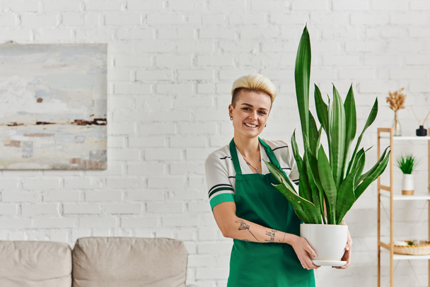 carefree and tattooed woman in green apron holding flowerpot with natural exotic plant and looking at camera in modern apartment, eco-friendly, sustainable home decor and green living concept - Photo, Image