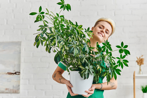 ekologiczny styl życia, pozytywny i stylowy tatuaż kobiety z zielonymi liśćmi roślin w doniczce patrząc na aparat fotograficzny w nowoczesnym salonie, zrównoważony wystrój domu i zielonych koncepcji życia - Zdjęcie, obraz