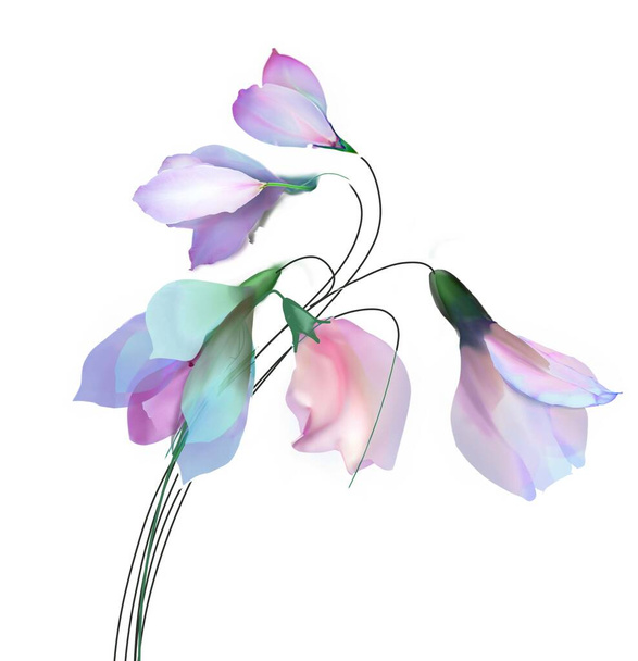  illustration of beautiful flower  - Foto, Imagem