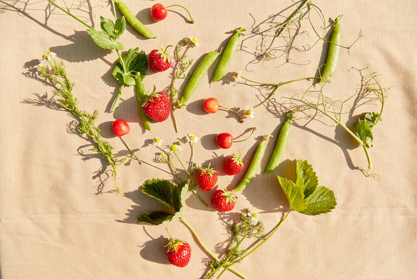 Heart shaped summer fruits strawberry, cherry, peas and camomiles top view. Aesthetics cottagecore, naturecore lifestyle. - Photo, Image