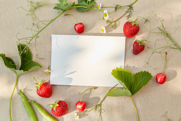 Stationery card mockup under hard shadows outside. Summer fruits and camomiles outside. Cottagecore, naturecore lifestyle top view, copy space. - Photo, Image