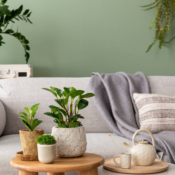 Stylish composition of cozy living room interior with design poster frames, plants, pillow, beige sofa, cube, plaid and personal accessories in green home decor. Template. Plants on chest of drawers.  - Foto, imagen