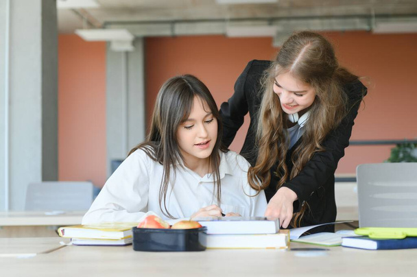 Smiling schoolgirls are talking about homework at the desk in the class - 写真・画像