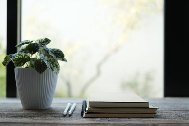 vaso de plantas e cadernos na frente de janelas claras - Foto, Imagem