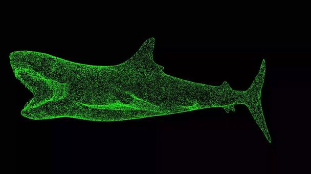 Tiburón 3D con la boca abierta sobre fondo negro. Objeto hecho de partículas brillantes. Concepto de animales salvajes. Por título, texto, presentación. animación 3d - Foto, imagen