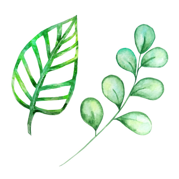Aquarel helder groene tropische bladeren, voor de zomer ontwerpen - Foto, afbeelding