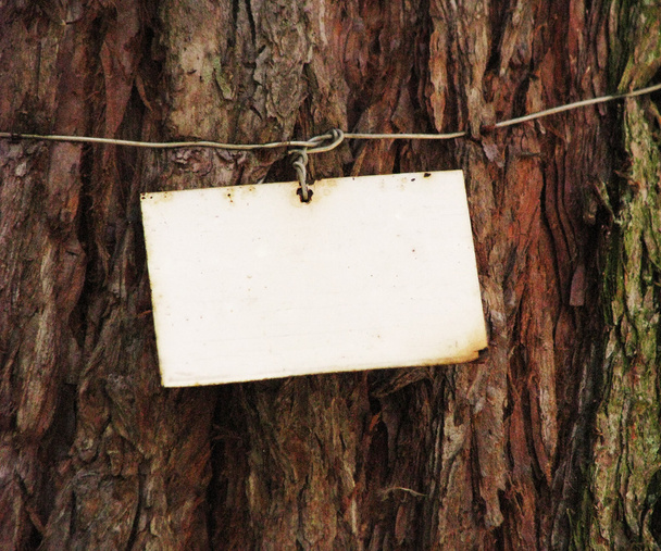 Hoja metálica pequeña en el árbol
 - Foto, imagen