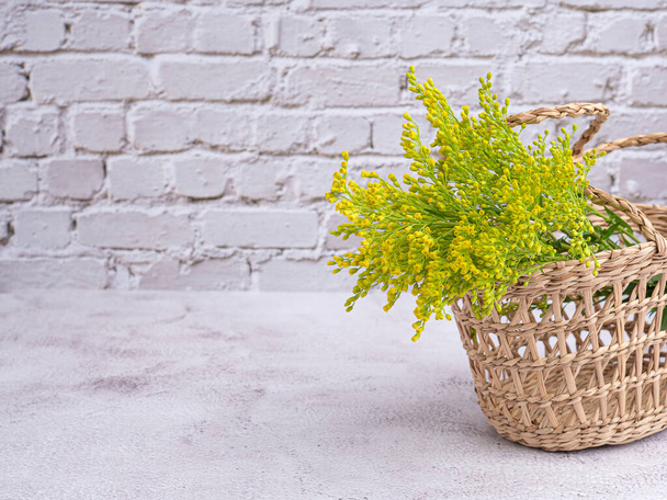 Yellow flowers of goldenrod in a basket with a white brick wall. Close-up photo. Space for text. - Photo, Image