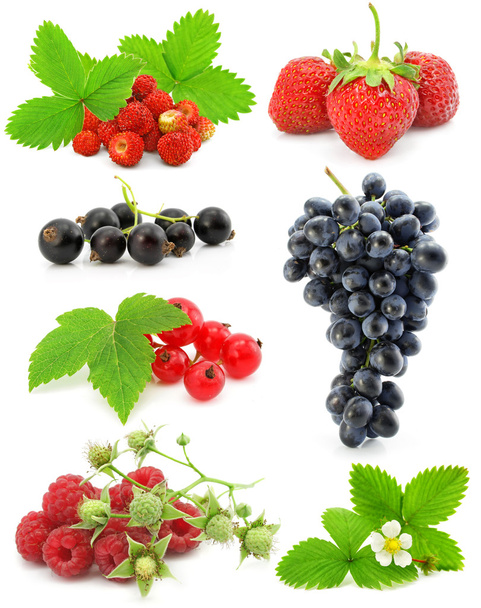 Collection of berry fruits isolated on white - Photo, image